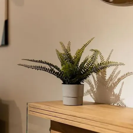 Nest Silhouette Daire Kaloşvar
