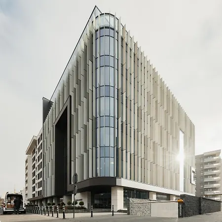 Nest Silhouette * Cluj-Napoca