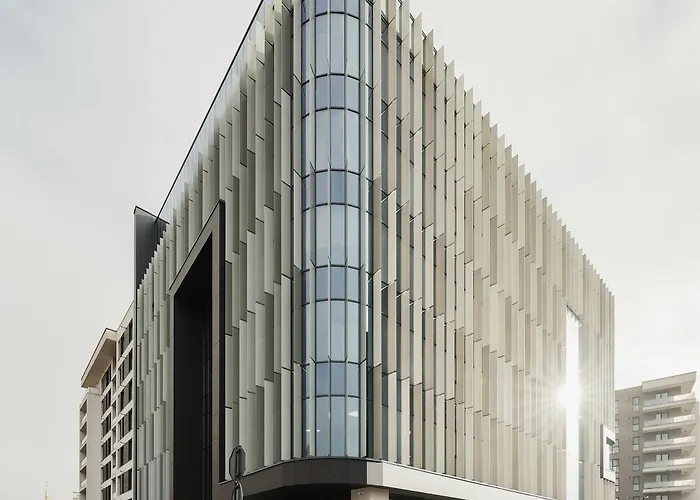 Nest Silhouette * Kluż-Napoka